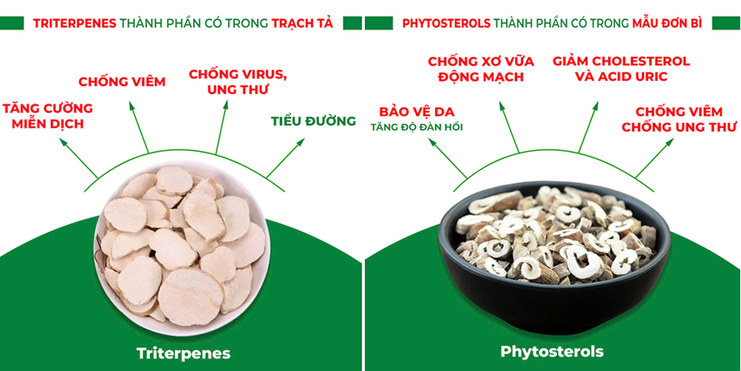 thành phần dược liệu của pqa nhuận tràng