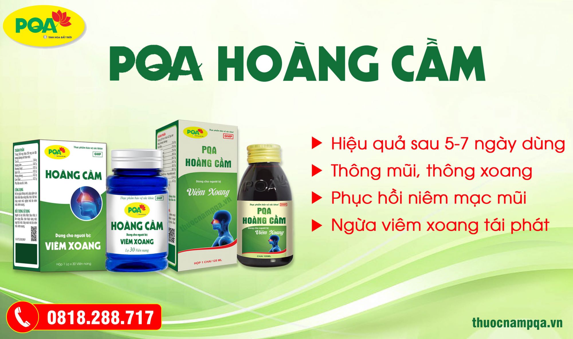 pqa hoàng cầm hỗ trợ điều trị viêm xoang